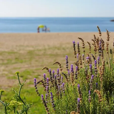 Casa Del Dorado Playa Holiday home Cambrils