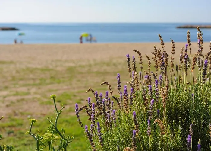Casa Del Dorado Playa Holiday home Cambrils